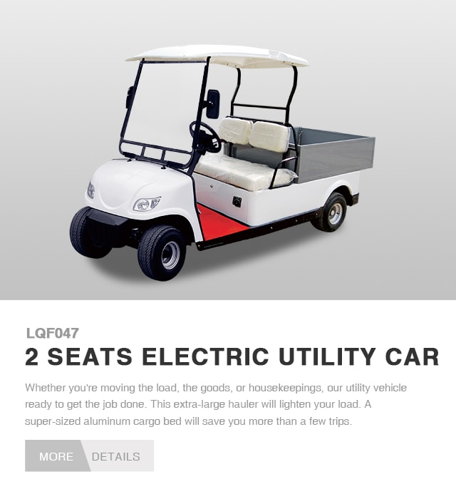 electric utility buggy